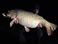 Simon Firth, 17th Mar<br />29lb 12oz common